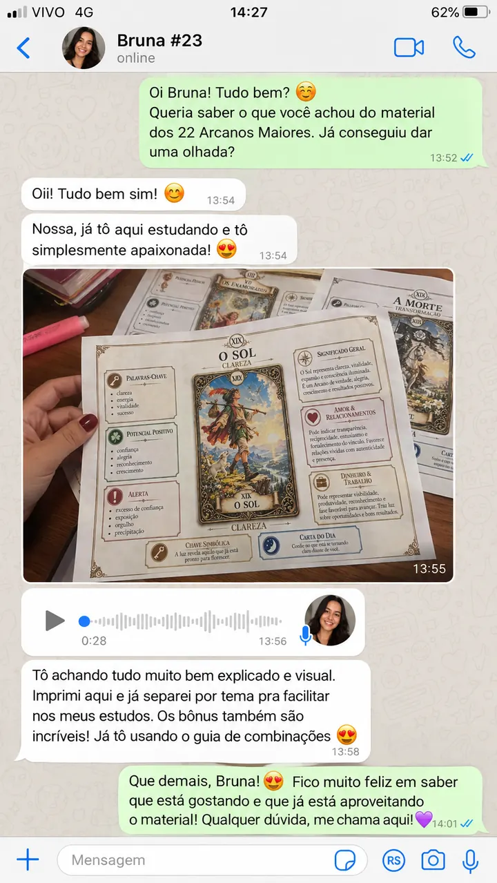 Print de conversa no WhatsApp com depoimento de cliente 1